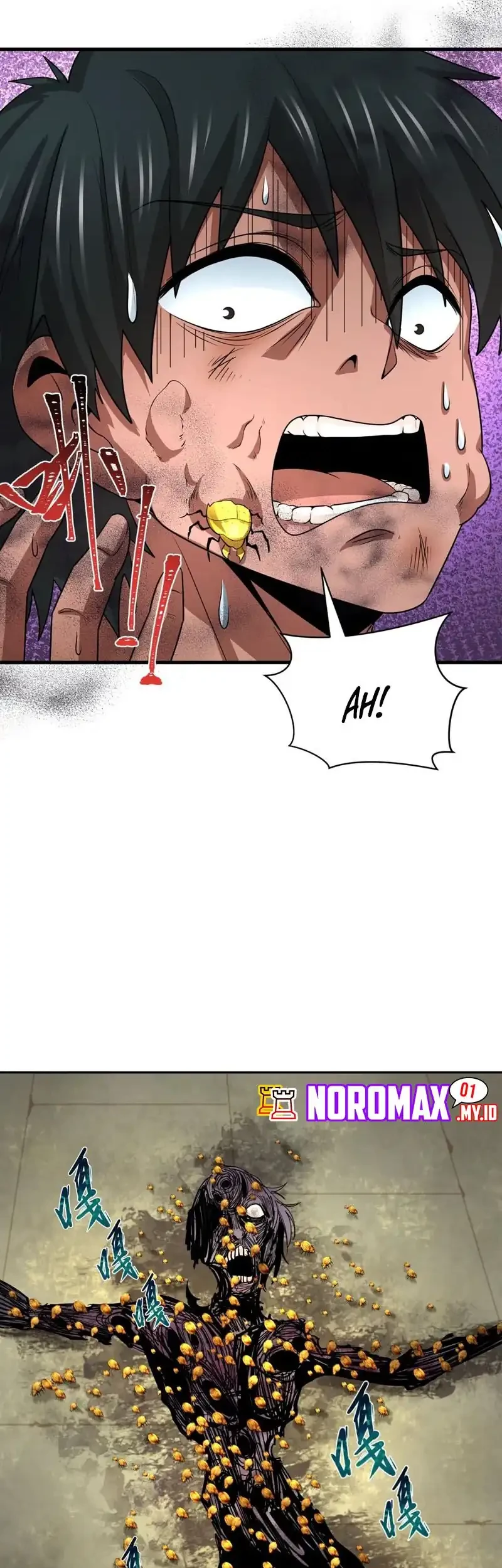 Page 55