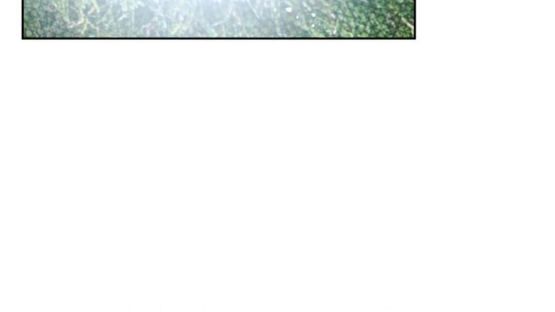 Page 241