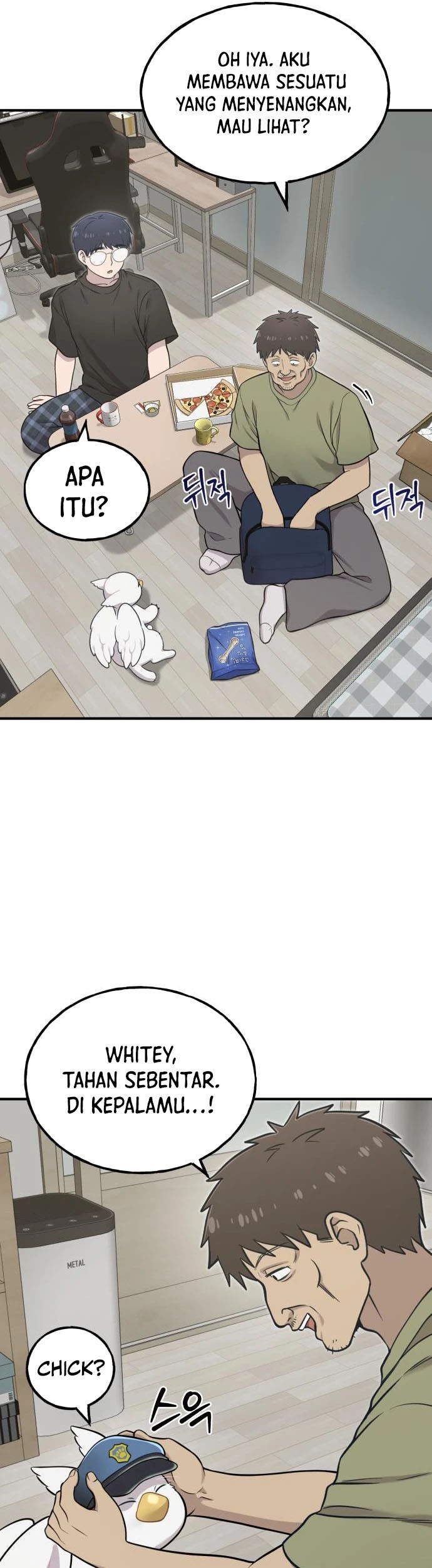 Page 43