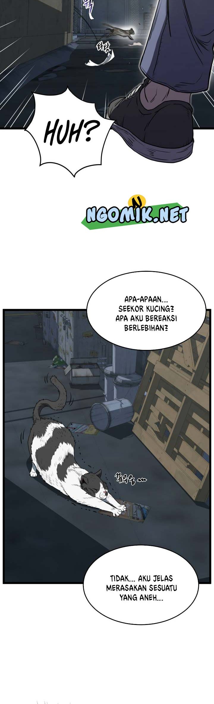 Page 45