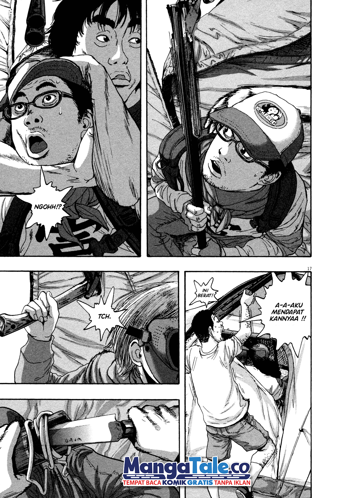 Page 17