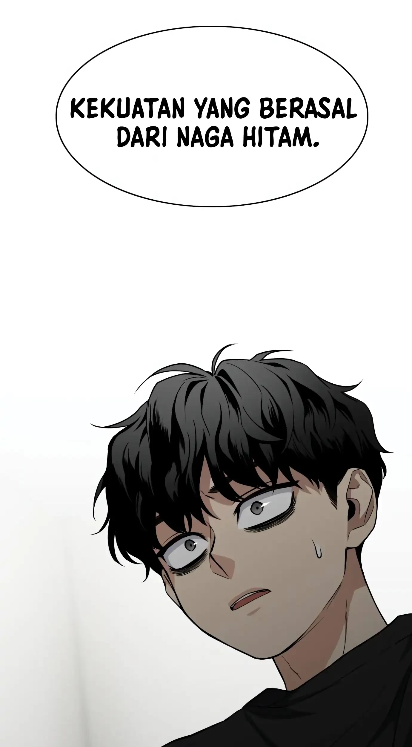 Page 221
