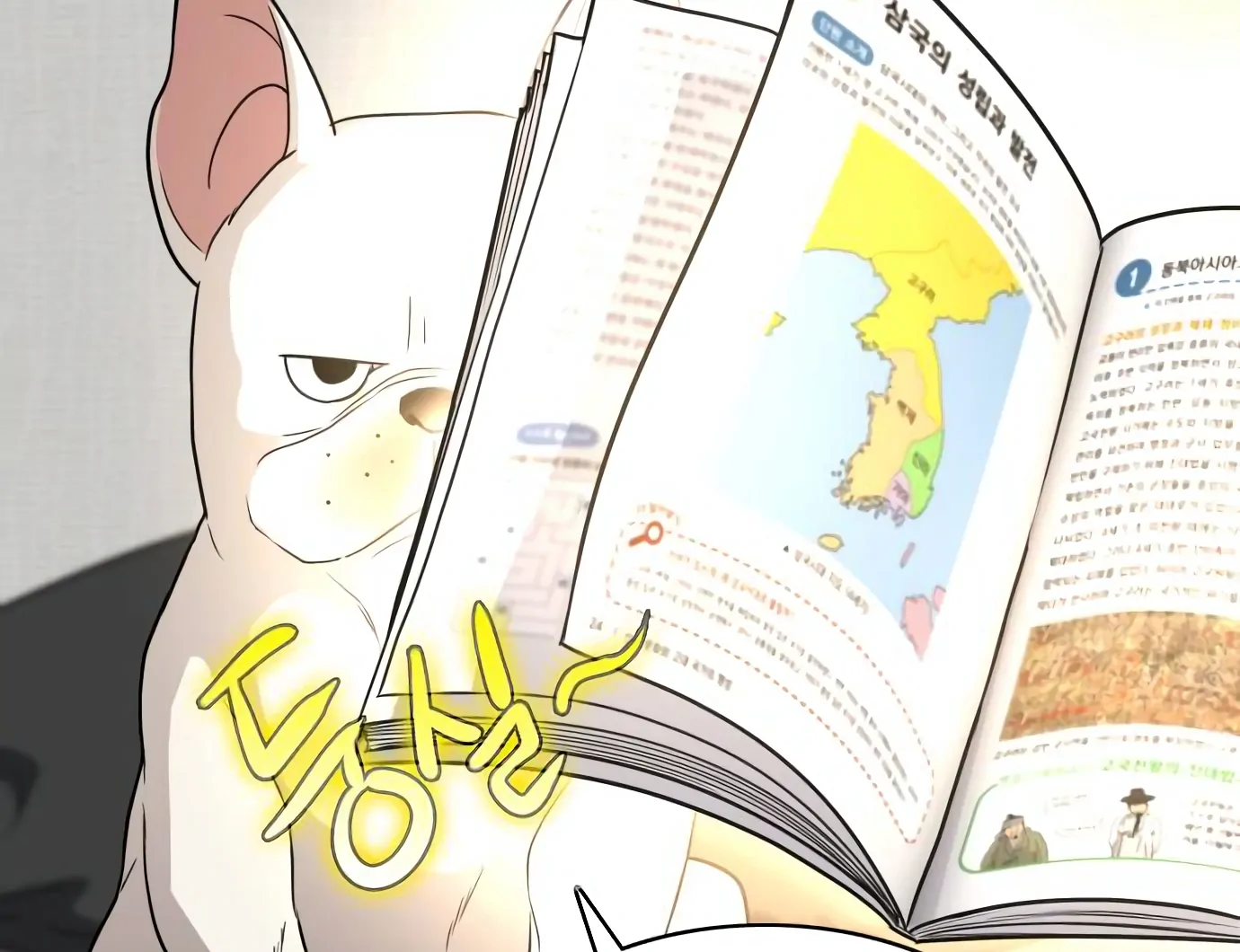 Page 63