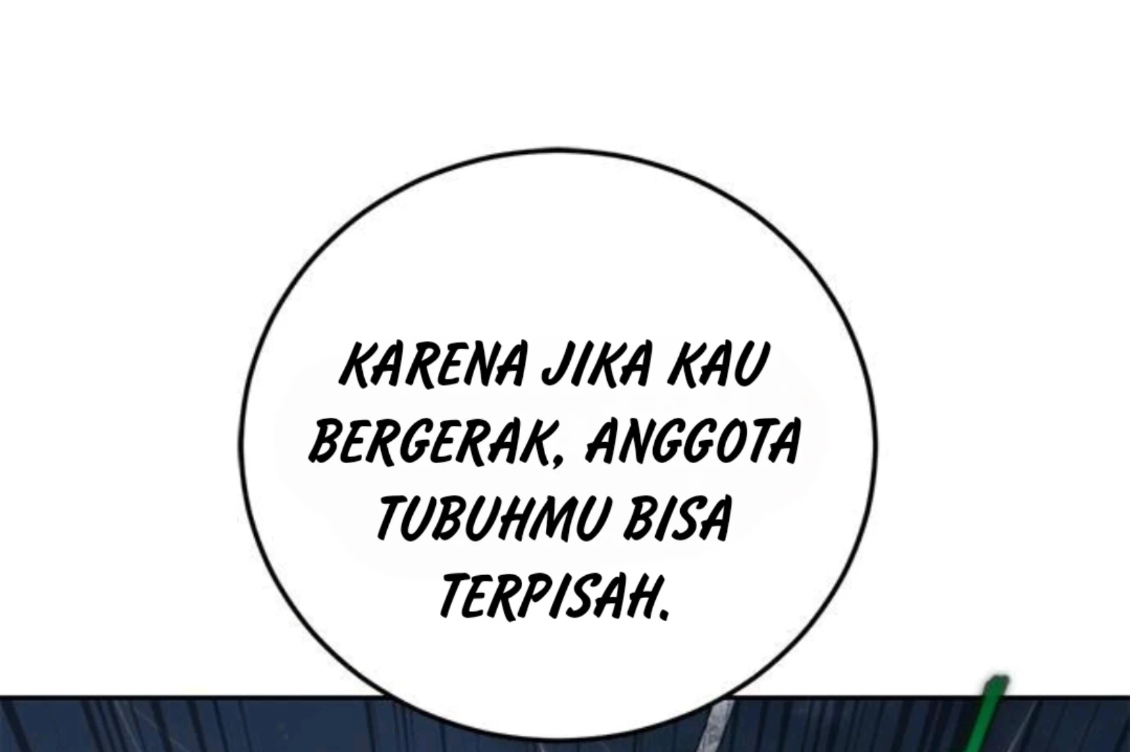 Page 243