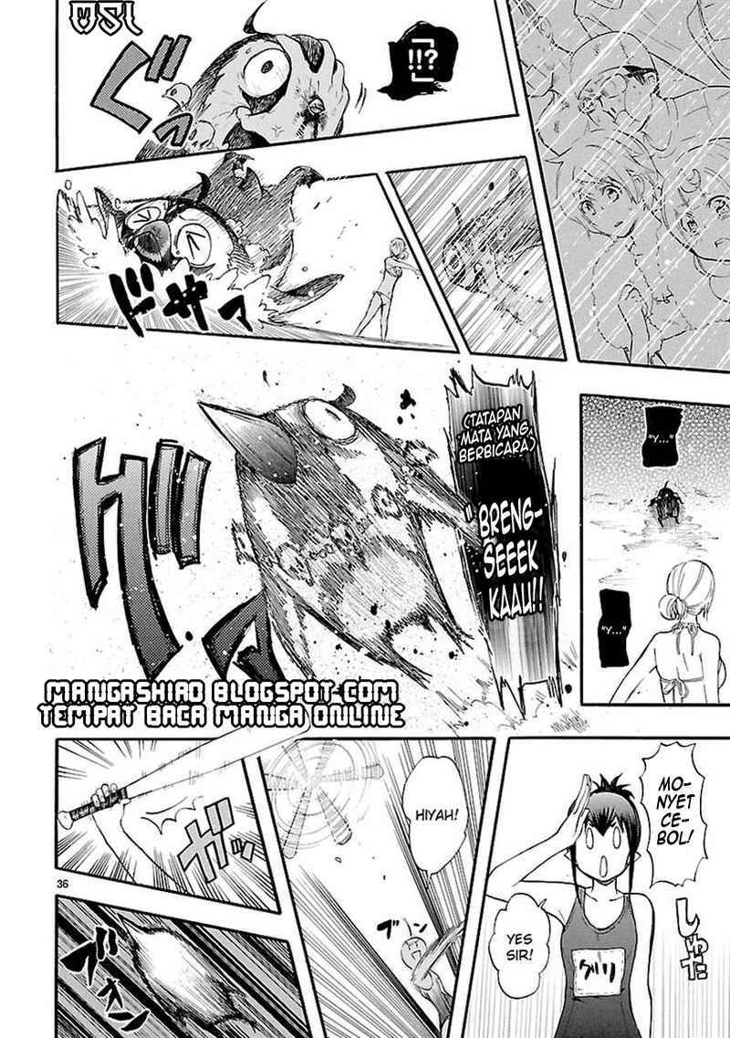 Page 36
