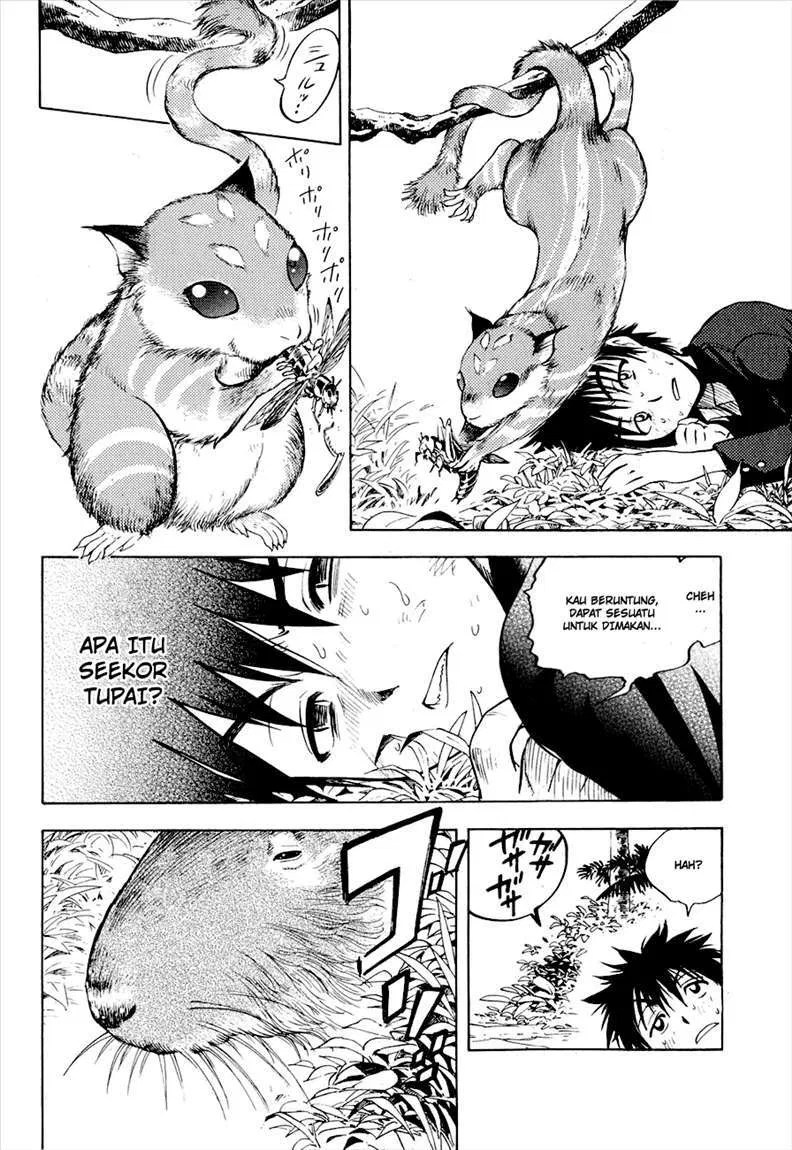 Page 34