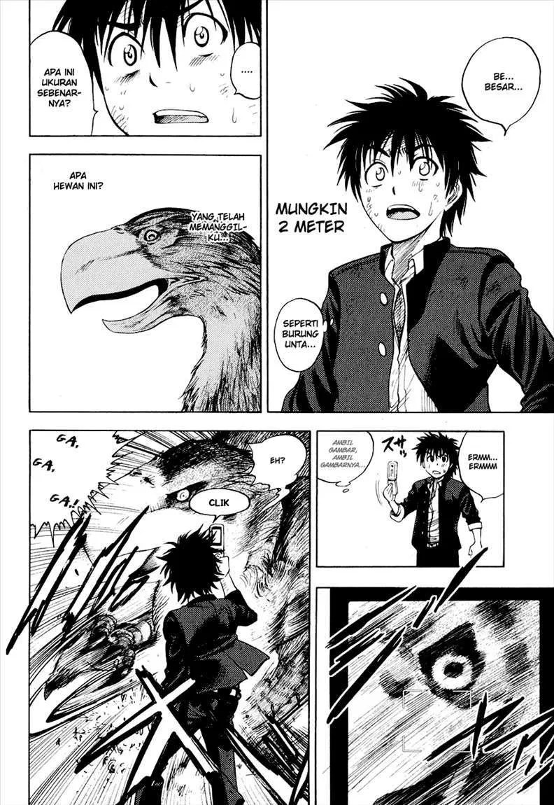 Page 43