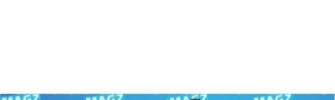 Page 296