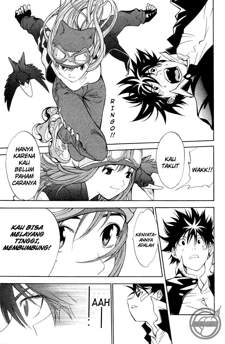 Page 43